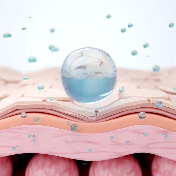 Beauty Cosmetics Product Description illustration showing hydration molecules penetrating skin layers